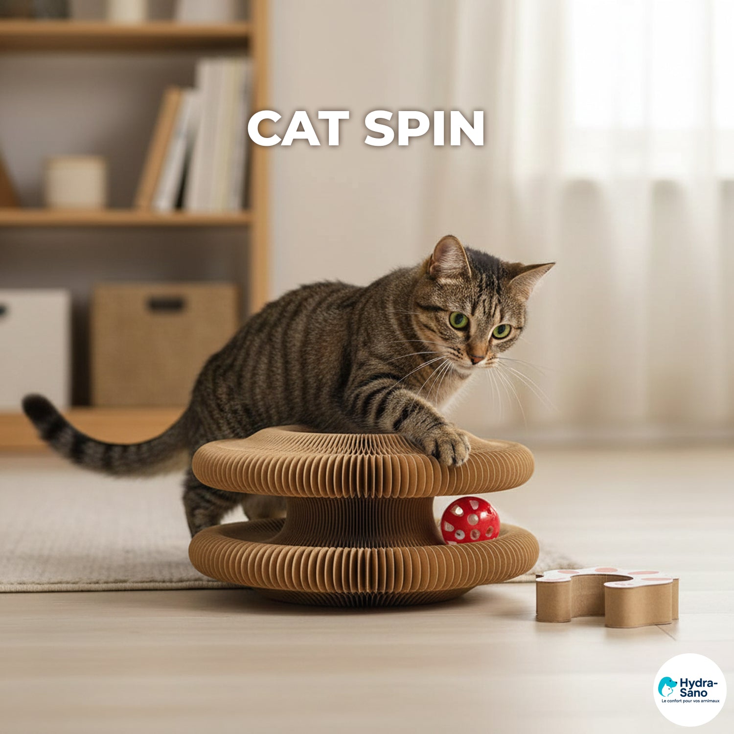 CATSPIN