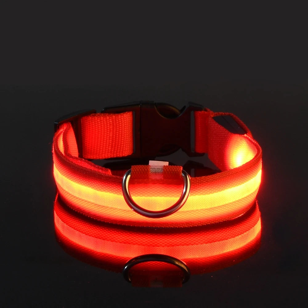 COLLIER LUMINEUX POUR CHIEN