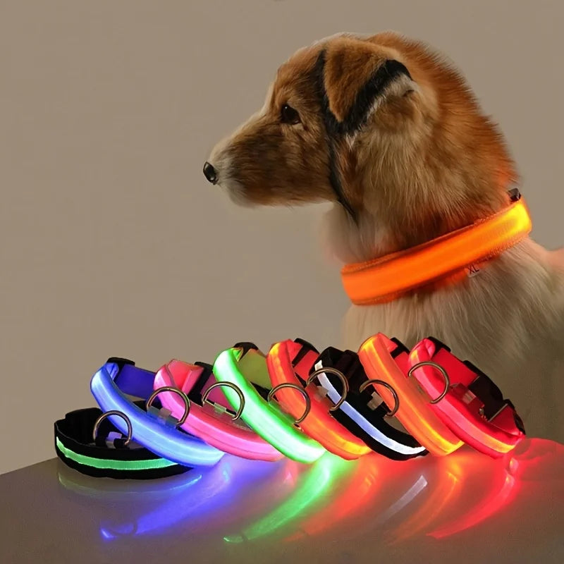 COLLIER LUMINEUX POUR CHIEN